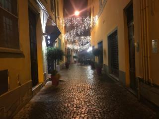La strada del liutaio nel cuore di Cremona - Cremona - 8