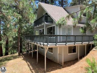 Breckenridge Chalet near Yosemite. Dog friendly! - Groveland - 0