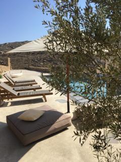 Aviola Mykonos - Ftelia - 6