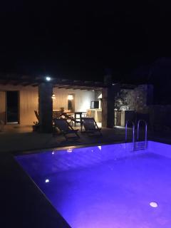 Aviola Mykonos - Ftelia - 5