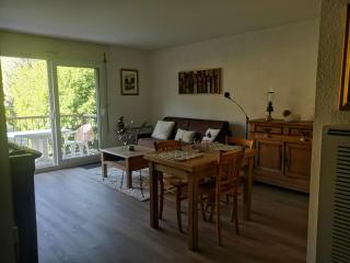 Appartement rénové proche de Luz Saint Sauveur 1chambre et 1 coin cabine - Luz-Saint-Sauveur - 3