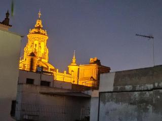 Luxury Penthouse with private pool Setas monument - Sevilla - 3