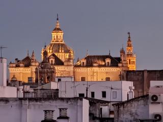 Luxury Penthouse with private pool Setas monument - Sevilla - 4
