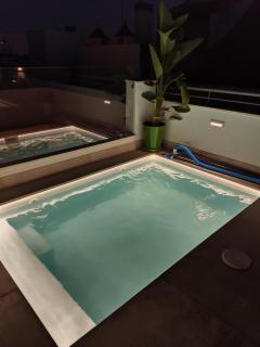 Luxury Penthouse with private pool Setas monument - Sevilla - 5