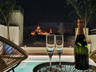 Luxury Penthouse with private pool Setas monument - Sevilla - 8