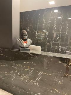 Hotel Elsa - Milano Marittima - 5