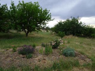 Meander Retreat - Garden Studio with dog park - Springton - 3
