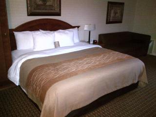 Spark By Hilton Toronto Markham - Markham - 7
