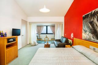 Troodos Hotel & Spa - 7
