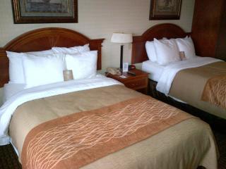 Spark By Hilton Toronto Markham - Markham - 4