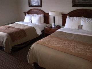 Spark By Hilton Toronto Markham - Markham - 9
