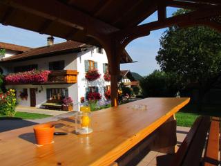 Ferienwohnungen Rosenegger - Staudach-Egerndach - 8