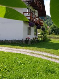 Casa Felicia - Moieciu de Jos - 1