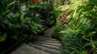 Sakti Garden Resort & Spa - Ubud - 2