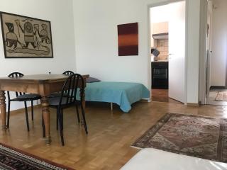 Locarno: appartamento in zona residenziale - Locarno - 6