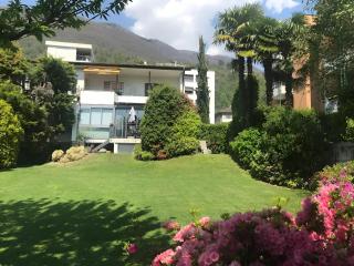 Locarno: appartamento in zona residenziale - Locarno - 3