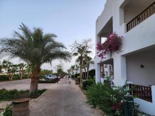 Best studio in Delta Sharm - 8