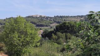 La tonnelle d'Olivier - La Cadière-dʼAzur - 3