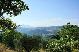 Casale Amerina - Camerata - 4