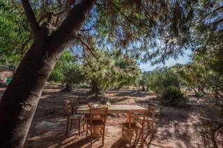 Casina ai Fraginesi - Castellammare del Golfo - 7