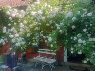 Rosindell cottage - 8