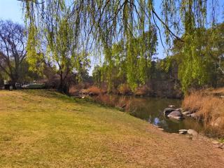 Otters' Haunt Eco Retreat - Parys - 3