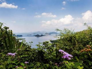 Chameleon Hill Forest Lodge - Bwindi - 0