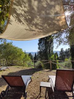 Podere Borgaruccio - 4