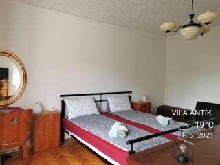 Vila Antik - Ilirska Bistrica - 2