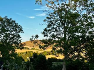 Robins Retreat - orchard with hot tub - see extras - Alfriston - 6
