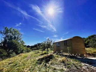 Robins Retreat - orchard with hot tub - see extras - Alfriston - 0