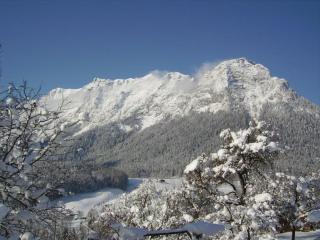 Haus Langbruck Ferienwohnungen - Ramsau - 7