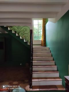 Lulu - Castelmoron-sur-Lot - 2