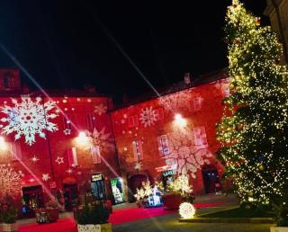 Grove Cottage: Immersed in nature & close to town - 5