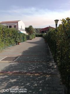 Stella marina - Buonfornello - 6