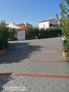 Stella marina - Buonfornello - 7