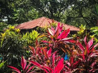 Casa Colores - Montezuma - 2