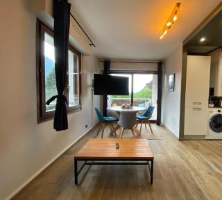 Le Malaga - parking & balcon, à 500m du lac ! - Annecy - 2