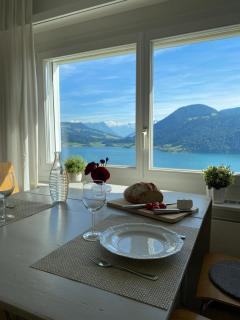 Beautiful apartment with fantastic views - Oberägeri - 9