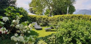 Villa Lago Groundfloor Lakefront Beach Garden Bike&Boat& Scooter Lake Como - 8