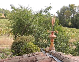 Les treilles d'en Peyre - Nogaret - 2