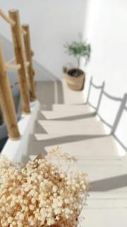 NOMAD SURF HOUSE - Corralejo - 3