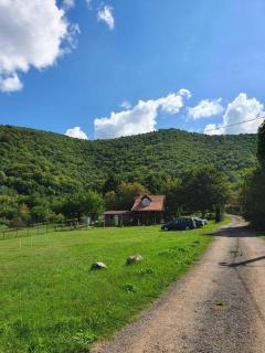 Studija Stojanović - Sokobanja - 2
