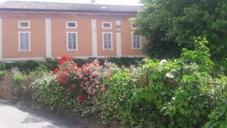 Agriturismo Azienda Agricola Mombisaggio - Tortona - 8