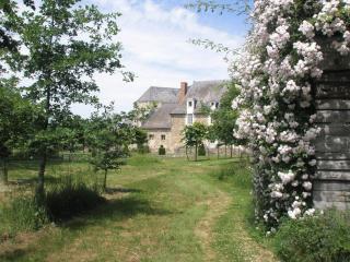 Gîte du Plessis - Segré - 2