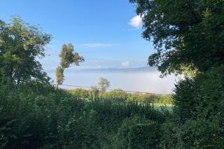 La Belle Vue - Coin de paradis - Sussac - 9