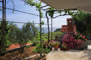 Apartments with a parking space Zavala, Hvar - 8773 - 3