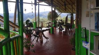 Hostal y Camping Los Girasoles - Salento - 5