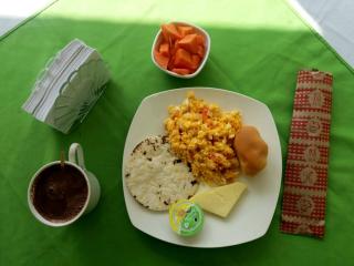 Hostal y Camping Los Girasoles - Salento - 6