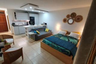 U Are We R St Martin Studio Cosy Marigot, Wi-Fi ,Piscine - 9